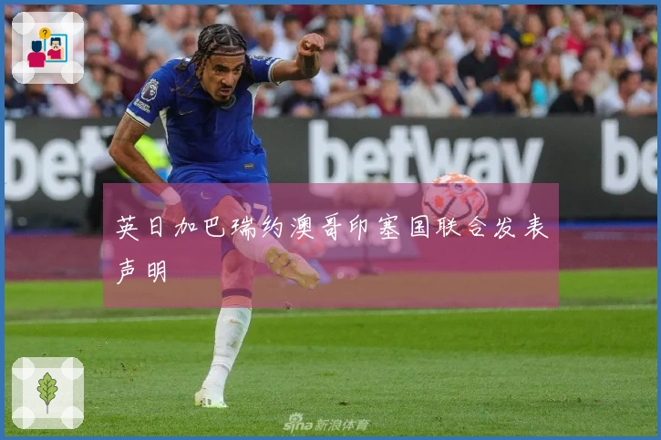 英日加巴瑞约澳哥印塞国联合发表声明